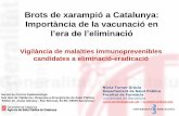 Brots de xarampió a Catalunya: Importància de la vacunació en