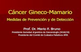 Cáncer Gineco-Mamario - Sociedad de Medicina Interna de ...