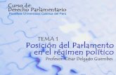 El Régimen de Gobierno Peruano - cdelgadoguembes.com