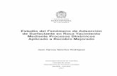 Estudio del Fenómeno de Adsorción de Surfactante en Roca ...