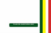PLAN DE AUDITORIA 2021 - hospitalsvpgarzon.gov.co