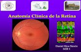 049 Anatomía Clínica de la Retina - DRS
