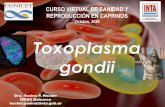 CURSO VIRTUAL DE SANIDAD Y REPRODUCCIÓN EN CAPRINOS