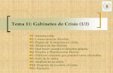 Tema 11: Gabinetes de Crisis (1/2)