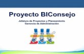 Proyecto BIConsejo - Dirección de Investigación