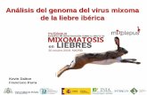Análisis del genoma del virus mixoma de la liebre ibérica