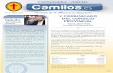 V ComuniCado - Camilos