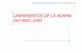 LINEAMIENTOS DE LA NORMA ISO 9001:2000