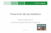 Prevención del pie diabético - Universidad de los Andes