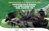 Agroindustria de la Palma de Aceite Protocolo para la ...