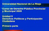 Universidad Nacional de La Rioja Curso de Derecho Público ...