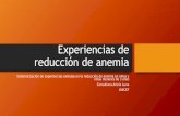 Experiencias de reducción de anemia