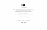 Informe de pasantia - Universidad Nacional de La Pampa