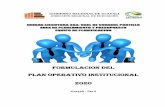 FORMULACION DEL PLAN OPERATIVO INSTITUCIONAL 2020