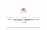 Guía de recomendaciones propuestas por FASGO para la ...