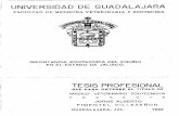 ) UNIVERSIDAD DE GUADALAJARA