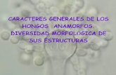 CARACTERES GENERALES DE LOS HONGOS ANAMORFOS. …