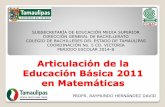Articulación de la Educación Básica 2011 en Matemáticas