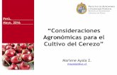 Mayo, 2016 Consideraciones Agronómicas para el Cultivo del ...