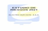 ESTUDIO DE RIESGOS 2021 - else.com.pe