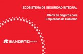 ECOSISTEMA DE SEGURIDAD INTEGRAL Oferta de Seguros para ...