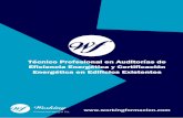 Técnico Profesional en Auditorías de Eficiencia Energética ...