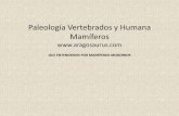 Paleología Vertebrados y Humana Mamíferos