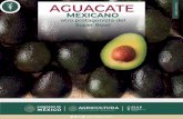AGUACATE - Gob