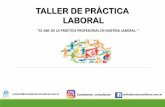 TALLER DE PRÁCTICA LABORAL - Consejo Profesional de ...
