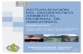 ACTUALIZACIÓN DEL DIAGNÓSTICO AMBIENTAL REGIONAL DE AMAZONAS