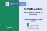 CIRCULAR BASICA CONTABLE Y FINANCIERA ORGANIZACIONES ...