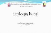 Ecología bucal - U-Cursos