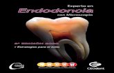 Experto en Endodoncia