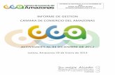 INFORME DE GESTION CAMARA DE COMERCIO DEL AMAZONAS