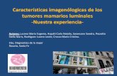 Características imagenólogicas de los tumores mamarios ...