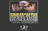 2 PROTECCIÓN JURÍDICA DE LOS DERECHOS HUMANOS