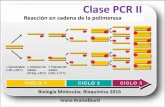 Clase PCR II - fbioyf.unr.edu.ar