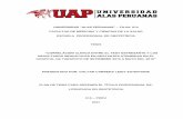 UNIVERSIDAD “ALAS PERUANAS” – FILIAL ICA FACULTAD DE ...