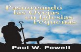 Paul W. Powell - Baylor University