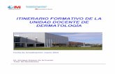 Itinerario formativo Dermatología web