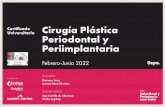 Certificado Universitario Cirugía Plástica Periodontal y ...