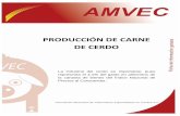 producción de carne DE CERDO - AMVEC