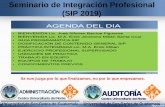 Seminario de Integración Profesional (SIP 2019)