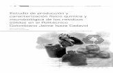 Estudio de producción y caracterización físico ... - UNAM