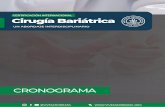 Cronograma - Cirugía Bariátrica