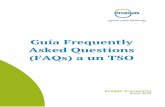 Guía Frequently Asked Questions (FAQs) a un TSO