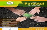 Revista Forestal de Guatemala