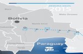 2015MEMORIA ANUAL - Gas TransBoliviano