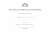 BOGOCUMBIA: UN ACERCAMIENTO A LA MÚSICA, IDENTIDAD Y ...