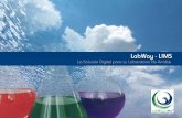 LabWay - LIMS